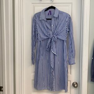 Seraphine Blue and white striped nursing and maternity dress in EUC